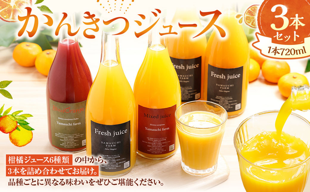 かんきつジュースセット【3本】（893）