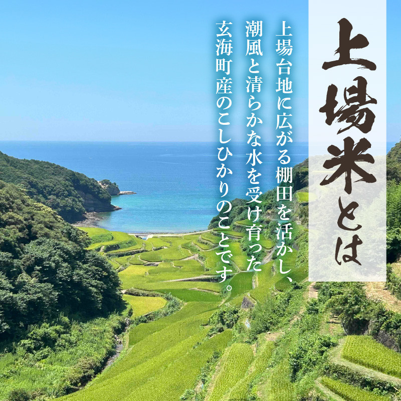 ＜令和7年度産 新米＞佐賀県玄海町産こしひかり 上場米 6kg（2025年10月～順次配送）
