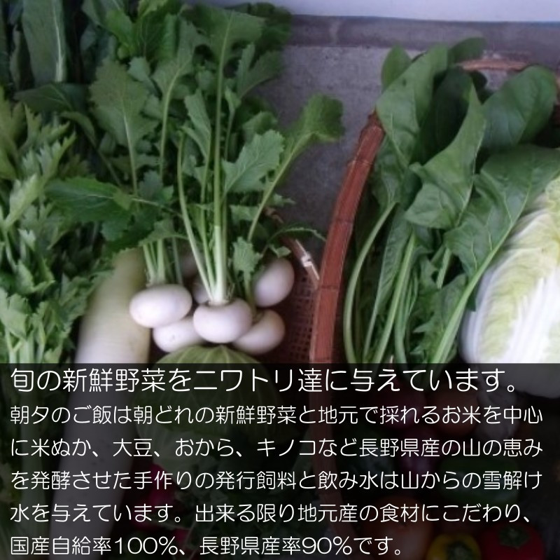 信州小川村　有機飼料を食べて育った、栄養たっぷりの朝採れ卵を当日出荷