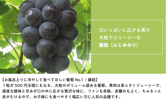 口いっぱいに広がる果汁大粒でシューシーな藤稔（ふじみのり）