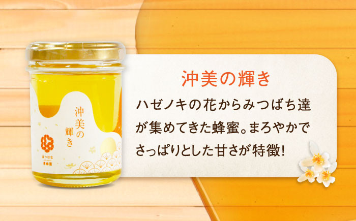 【全12回定期便】江田島産100％ はちみつ 沖美の輝き120g×6本セット ハチミツ 蜂蜜 国産 広島 江田島