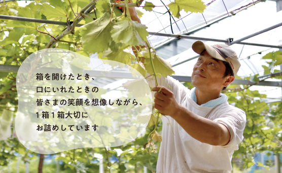 箱を開けたとき、口にいれたときの皆さまの笑顔を想像しながら、１箱１箱大切にお詰めしています。