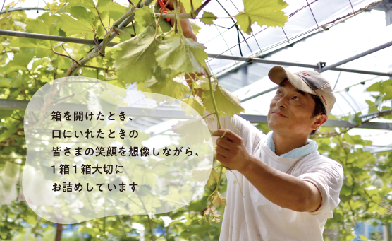 真庭市北房 きよとうファーム 箱を開けたとき、口にいれたときの皆さまの笑顔を想像しながら、1箱1箱大切にお詰めしています。