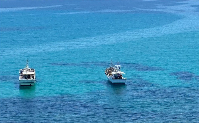 人気   うに ウニ 雲丹  新鮮 海鮮 特産品 贈り物 ギフト   魚介