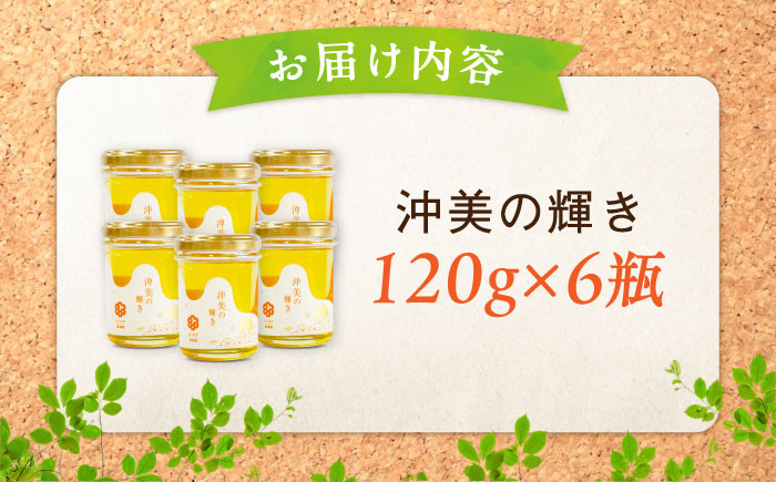 【全3回定期便】江田島産100％ はちみつ 沖美の輝き120g×6本セット ハチミツ 蜂蜜 国産 広島 江田島