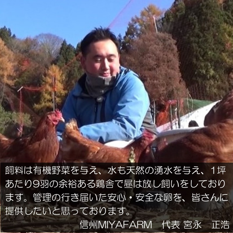 信州小川村　有機飼料を食べて育った、栄養たっぷりの朝採れ卵を当日出荷