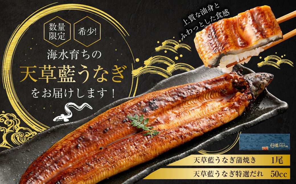 海水育ちの天草藍うなぎ 蒲焼き 1尾セット【合計約200g】