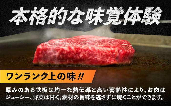 極厚 鉄板 9mm キャンプ アウトドア バーベキュー BBQ アウトドア用品 プレート