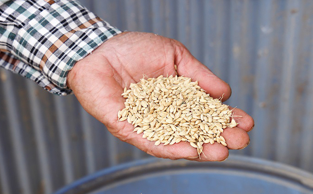 媛っこ地鶏 すき焼きセット（905）