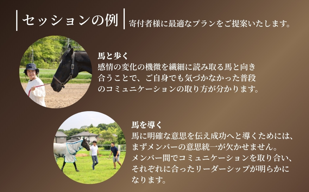 ホースミラーリングセッション  1名様