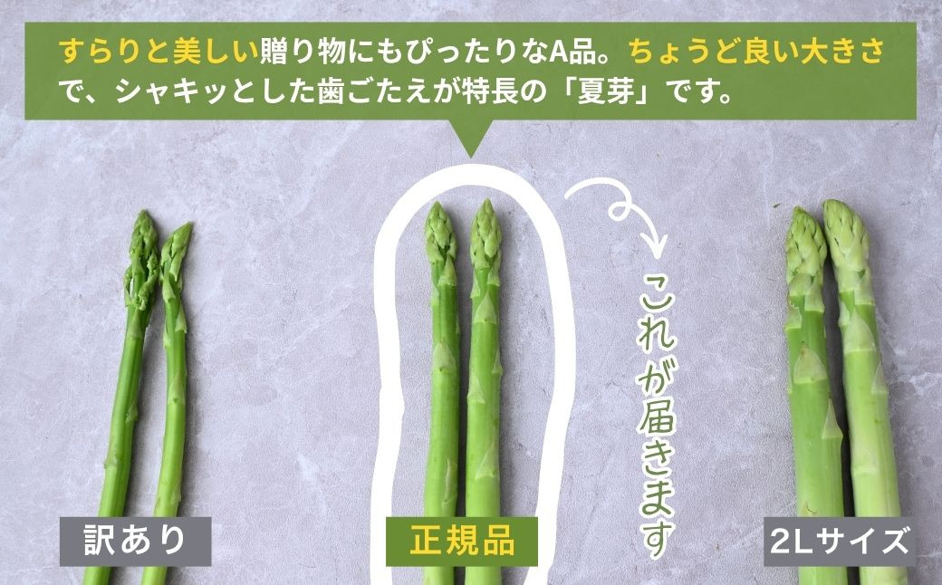 アスパラ アスパラガス グリーンアスパラガス あすぱら あすぱらがす