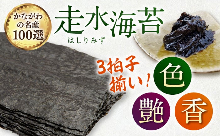 訳アリ 海苔 のり ノリ 焼き海苔 走水海苔 横須賀