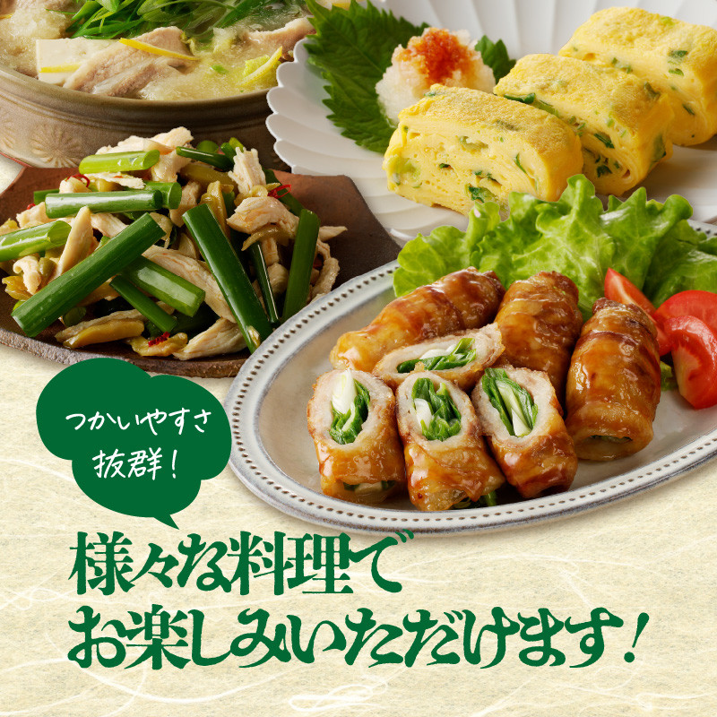 【スピード発送】最短7日以内発送!!山城のねぎ 2kg