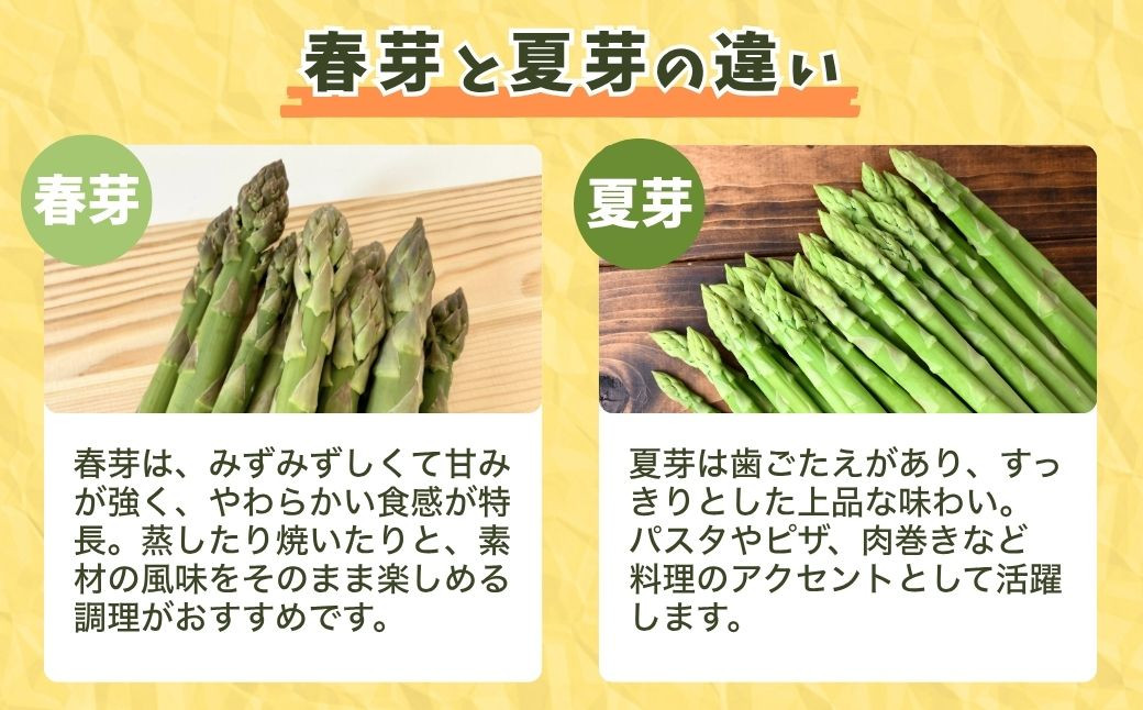 アスパラ アスパラガス グリーンアスパラガス あすぱら あすぱらがす