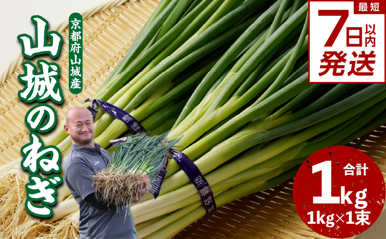 【スピード発送】最短7日以内発送！！山城のねぎ　1kg