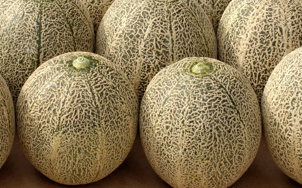 訳あり メロン 品種おまかせ 約4kg （2～7玉）