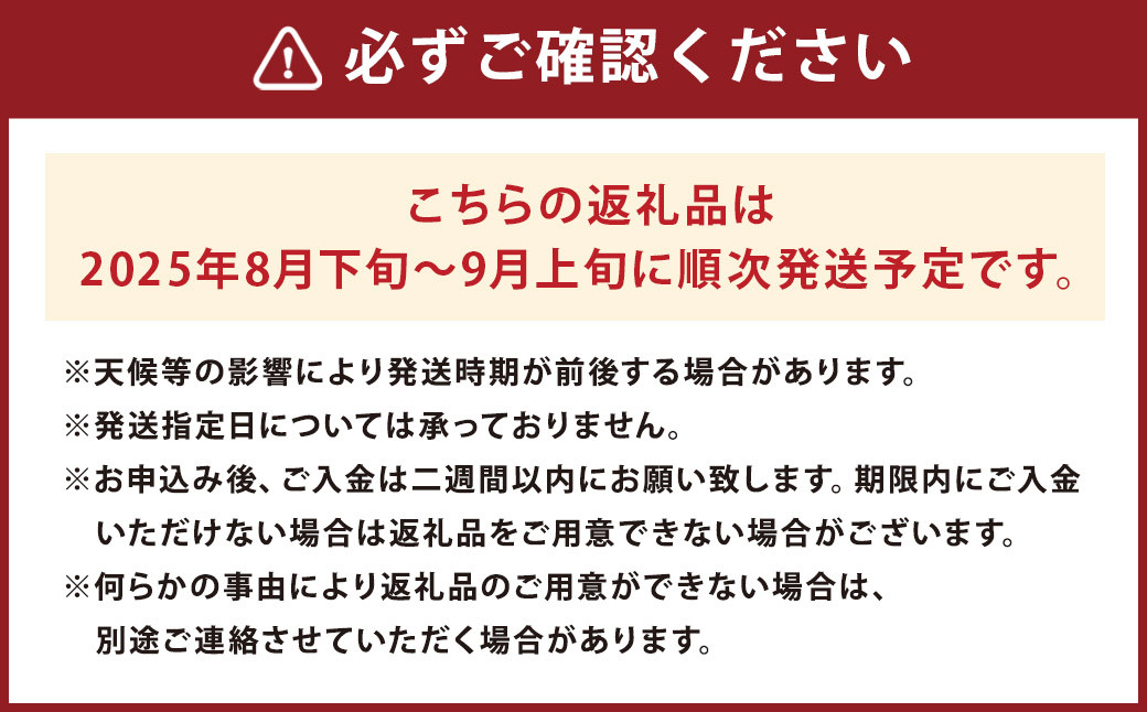 種なし巨峰 約2.5kg