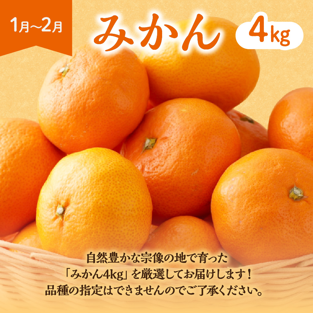 【定期便/年6回】むなかた旬のフルーツ6回定期便