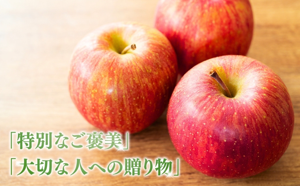 りんご サンふじ 約5kg