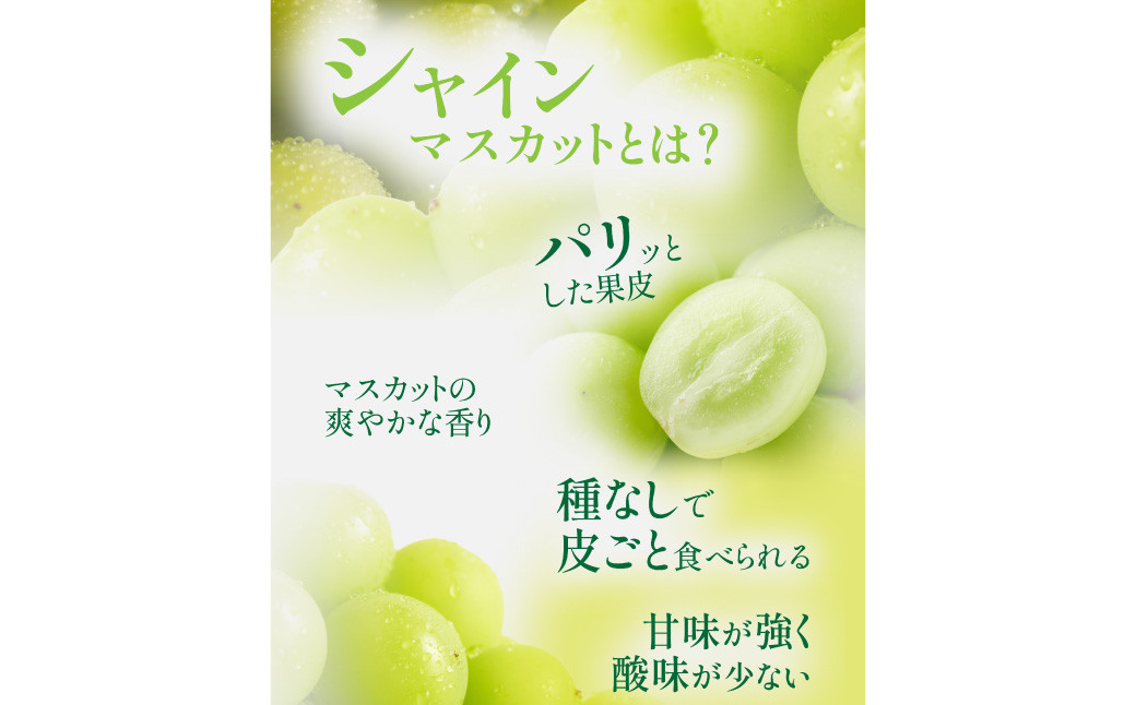 【岡山県産】 シャインマスカット 約600g