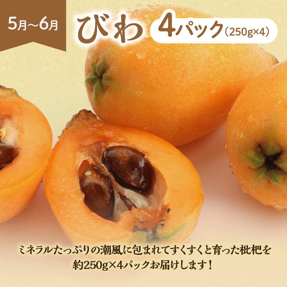 【定期便/年6回】むなかた旬のフルーツ6回定期便