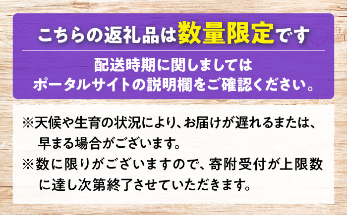 ピオーネ ぶどう 葡萄 ブドウ フルーツ 果物 種なし 人気 お取り寄せ ギフト 送料無料 数量限定 期間限定 広島 三次 贈答