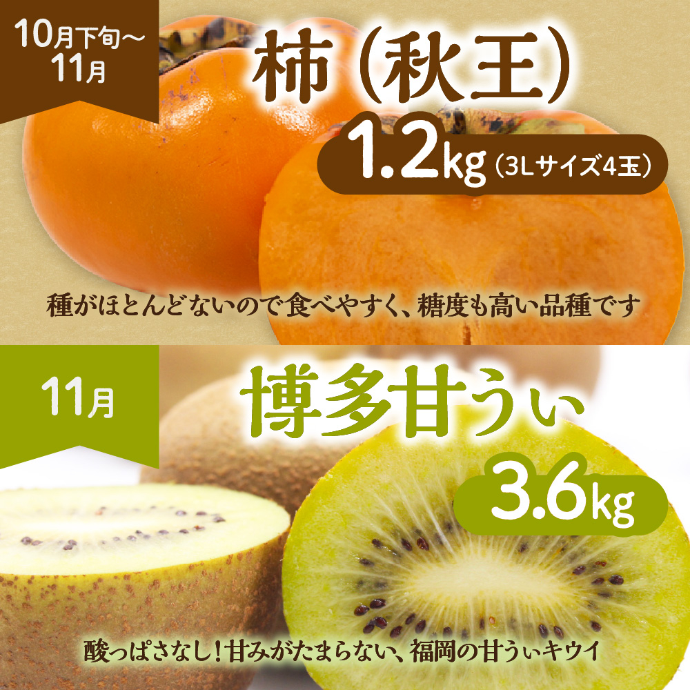 【定期便/年11回】JAむなかた厳選!旬のフルーツ定期便