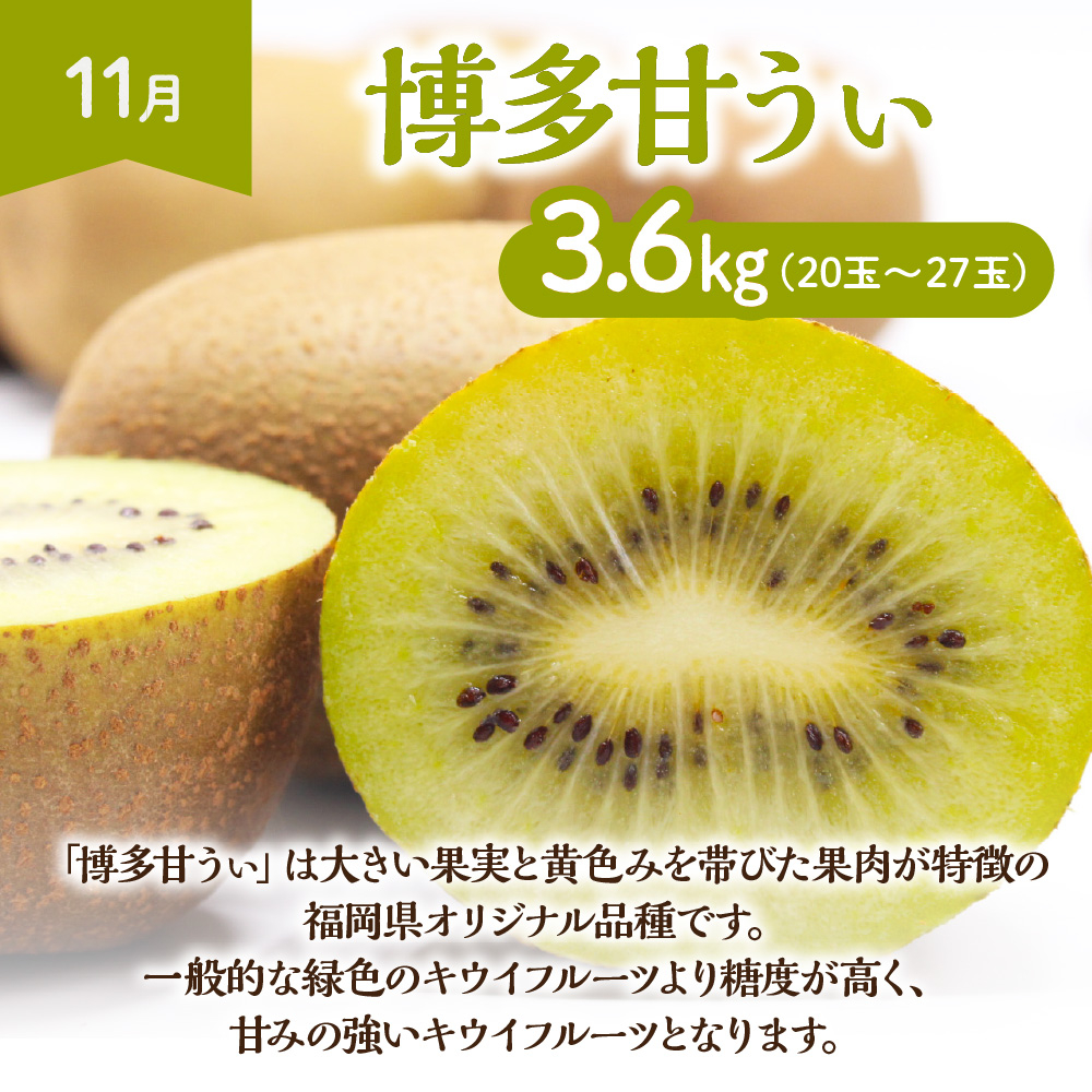 【定期便/年6回】むなかた旬のフルーツ6回定期便