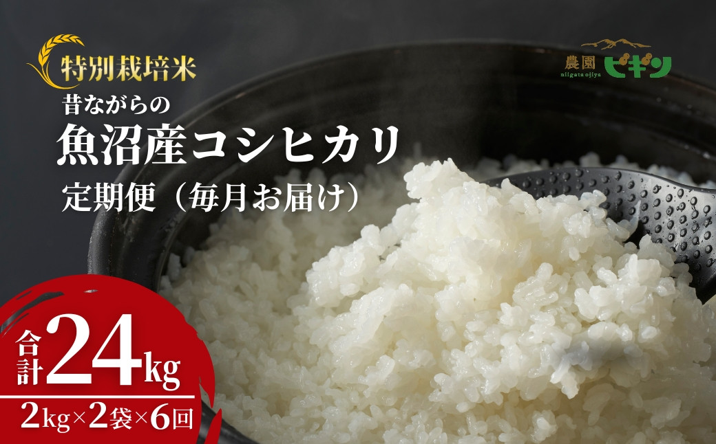 【お米の定期便】希少原種コシヒカリ モチモチ食感と優しい甘みが主役級の美味しさ