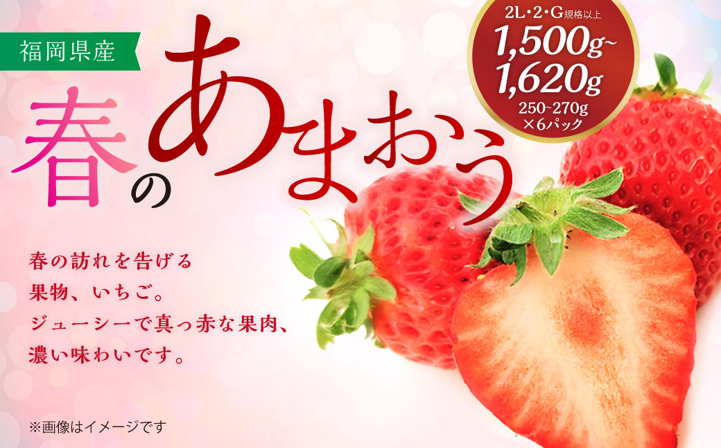 春のあまおう(2L・2A・G規格以上 6パック)【数量限定】