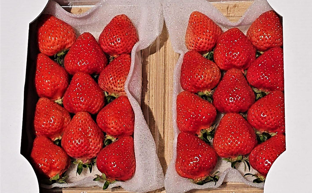 今季初採れあまおう2パック【数量限定】