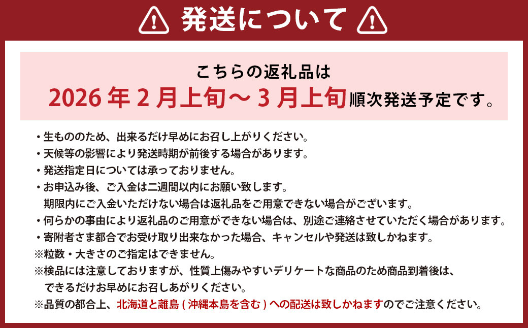 【訳あり】完熟あまおう 4パック