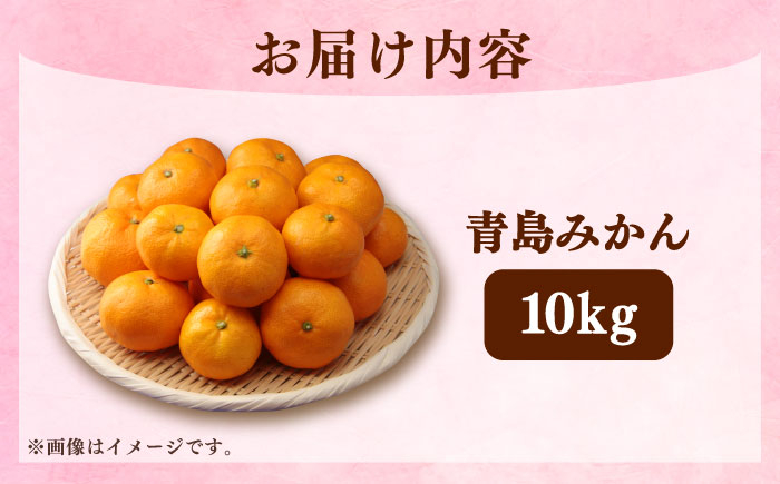 柑橘 果物 フルーツ みかん ミカン あおしまみかん 青島 長与町 長崎県 国産 九州 産地直送 冬 旬 甘い 濃厚 箱