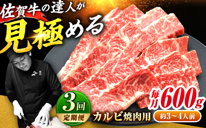 佐賀牛 カルビ 600g 焼肉 BBQ バーベキュー 焼き肉 牛カルビ 肉 牛 牛肉 定期便