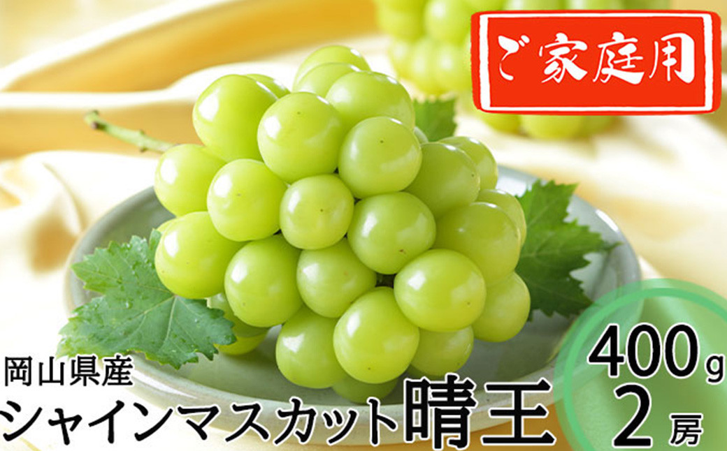 ご家庭用 シャインマスカット 晴王 約400g×2房 約800g