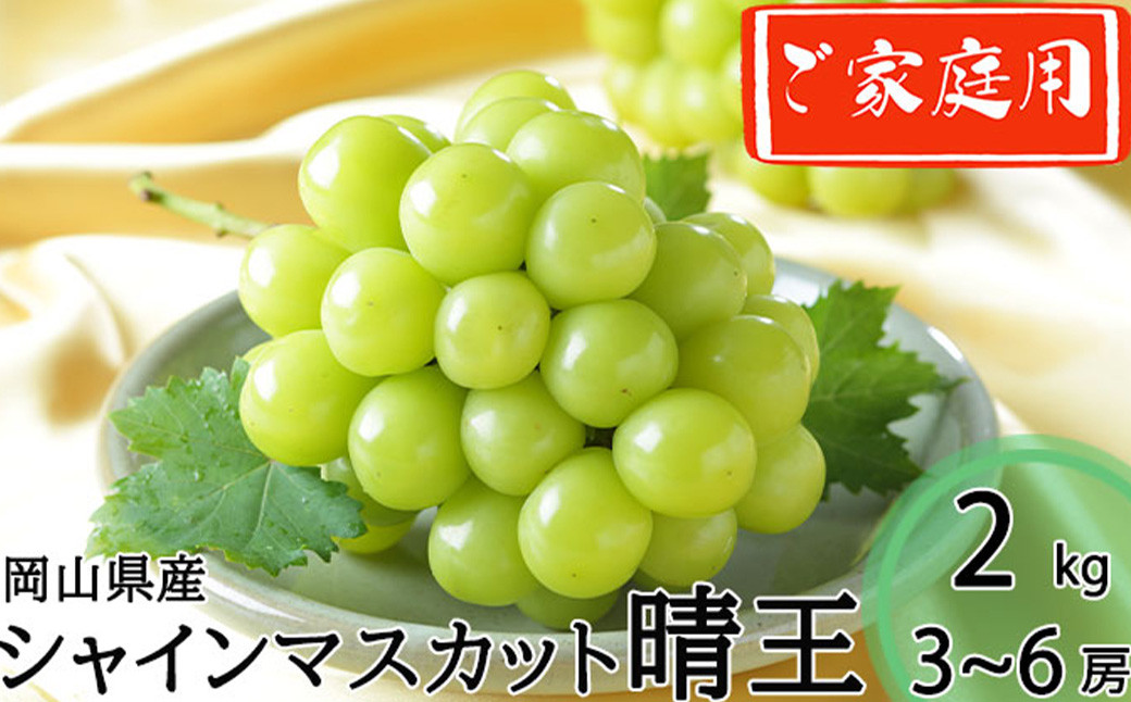 ご家庭用 シャインマスカット 晴王 3~6房 計約2kg