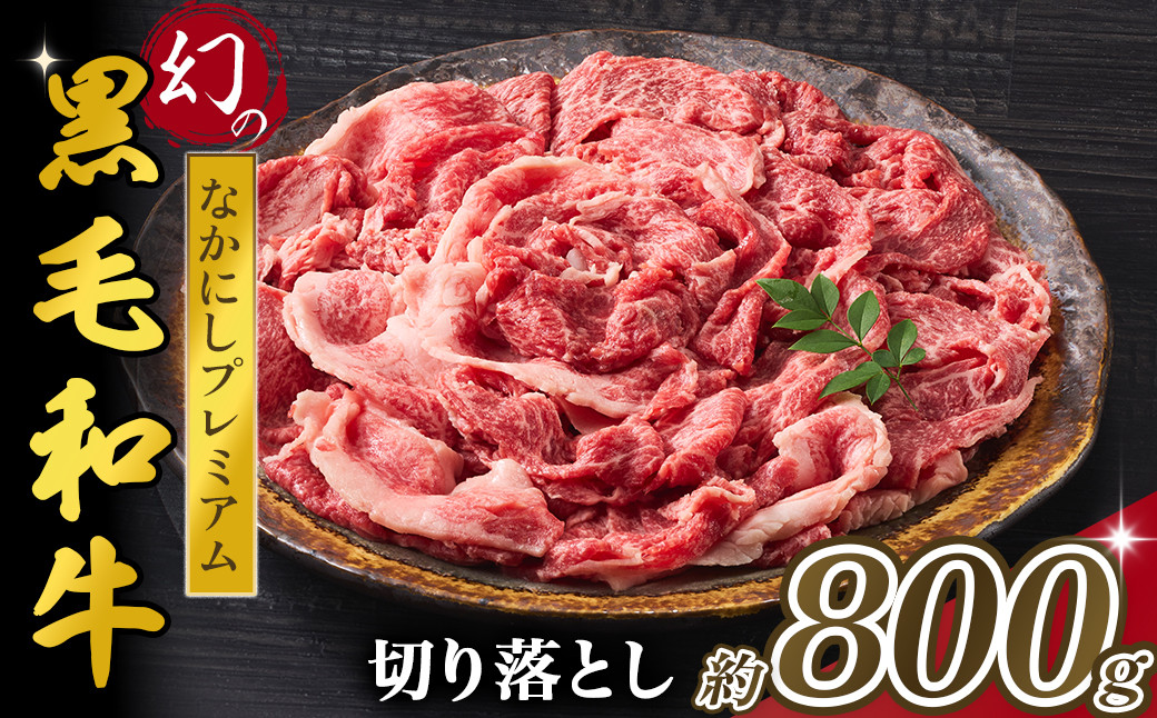 (画像はイメージです)