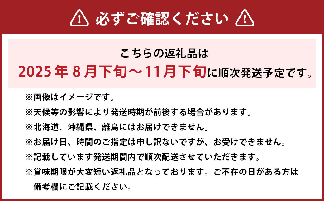 ご家庭用 シャインマスカット 晴王 3~6房 計約2kg