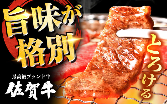 佐賀牛 カルビ 600g 焼肉 BBQ バーベキュー 焼き肉 牛カルビ 肉 牛 牛肉 定期便