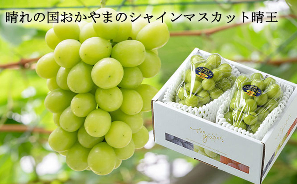 シャインマスカット 晴王 約500g×2房 （計約1kg）