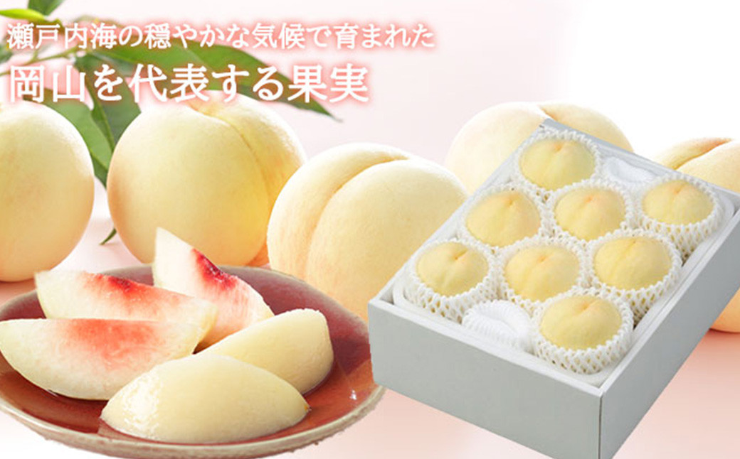 岡山白桃 エース 5~10玉 約2kg 岡山県産