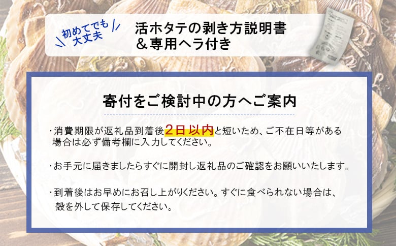 【予約受付開始!】北海道 羽幌町産 殻付き活ホタテ 約3kg(15~20枚・ヘラ付き)