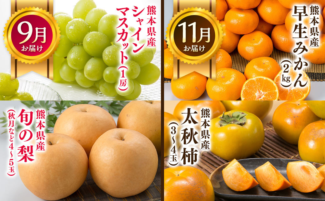 【6か月隔月定期便】旬の熊本フルーツ詰め合わせ定期便 