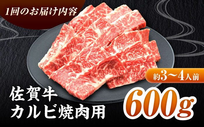 佐賀牛 カルビ 600g 焼肉 BBQ バーベキュー 焼き肉 牛カルビ 肉 牛 牛肉 定期便