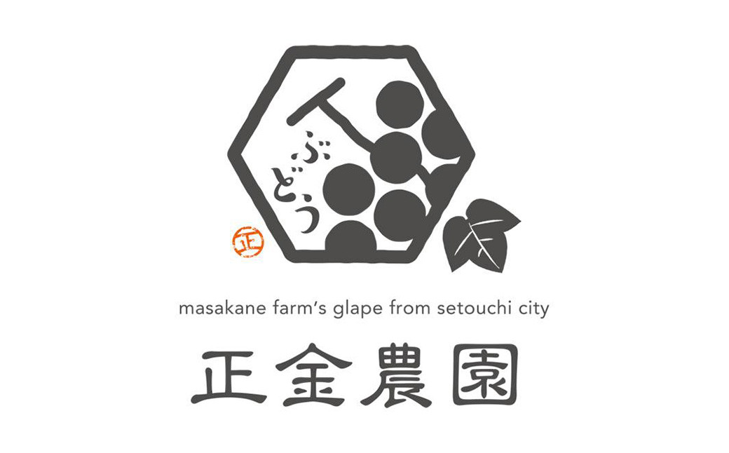 ☆正金農園より直送☆ 農薬節減【訳あり】シャインマスカット（粒タイプ） 2パック入