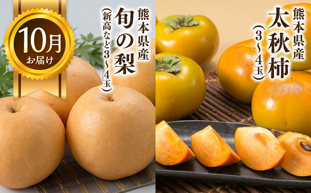 【年3回定期便】熊本の人気フルーツ堪能定期便（1月・5月・10月発送）