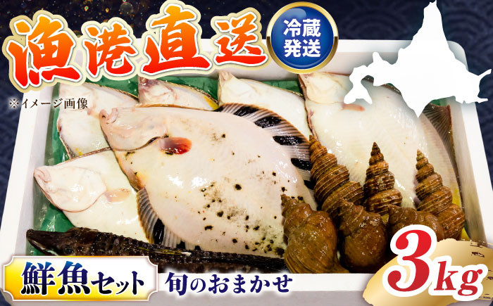 海鮮 朝獲れ 産地直送 セット 詰め合わせ 冷蔵配送 北海道 