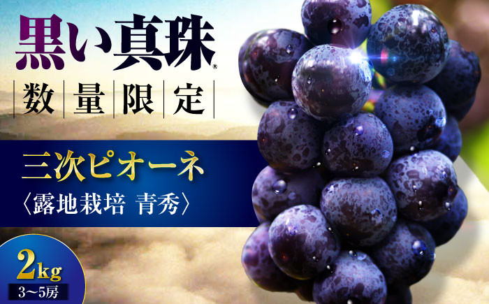 ピオーネ ぶどう 葡萄 ブドウ フルーツ 果物 種なし 人気 お取り寄せ ギフト 送料無料 数量限定 期間限定 広島 三次 贈答