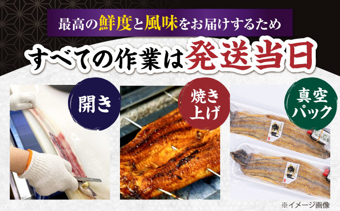 うなぎ 鰻 ウナギ 鰻蒲焼き うなぎ蒲焼き ひつまぶし うなぎ茶漬け おにぎり 国産 真空 冷凍 蒲焼 丑の日 個包装 小分け