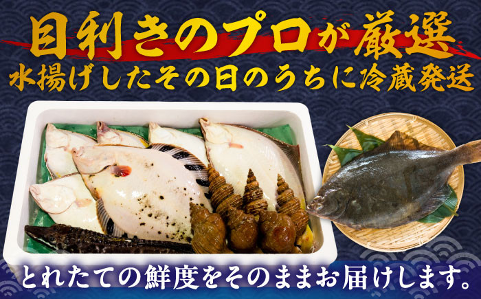 海鮮 朝獲れ 産地直送 セット 詰め合わせ 冷蔵配送 北海道 
